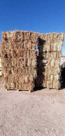 Ballette fieno - Foto 2