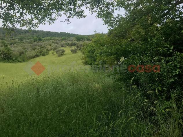 Terreno Agricolo - Tivoli . Rif.: Cod. rif 3234108ARG - Foto 2
