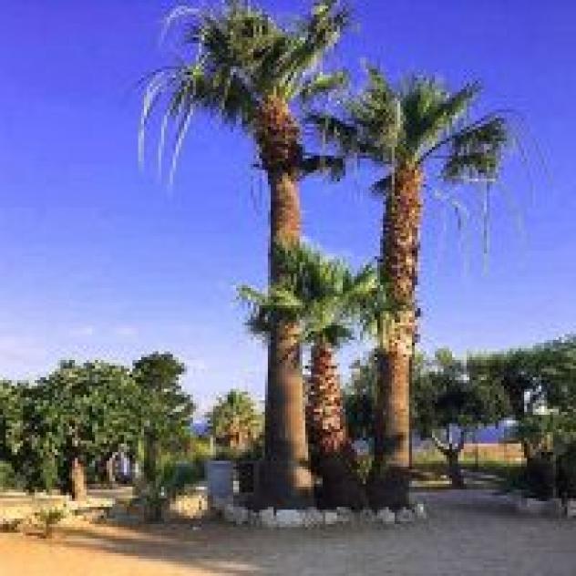 B&B Kore di Canzoneri Chiara - Foto 4