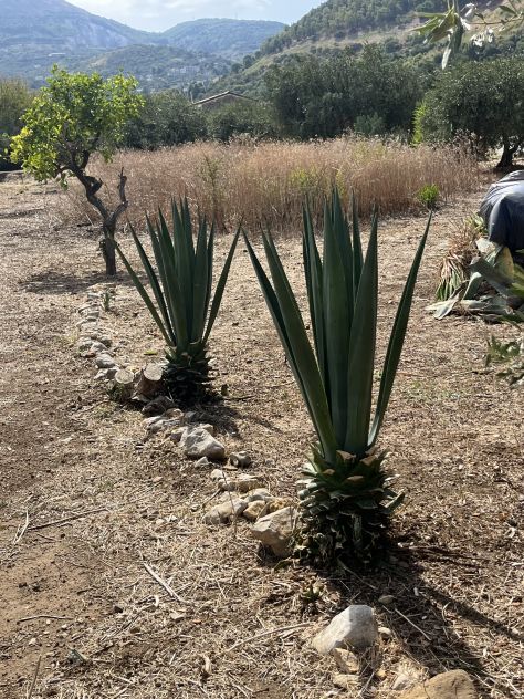 Terreno - Foto 2