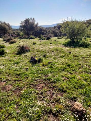 Terreno in vendita a Francofonte - Foto 3
