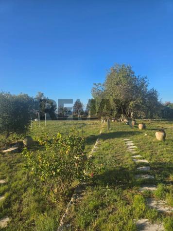 Fattoria in vendita a Modica - Foto 12