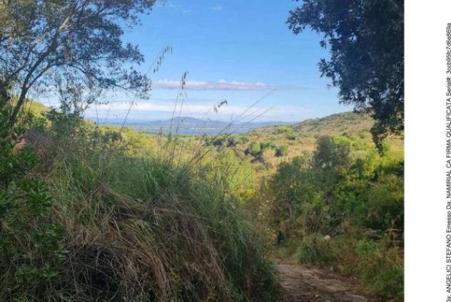 Immobile in asta di 3385 m² in vendita a Monte Argentario - Foto 4