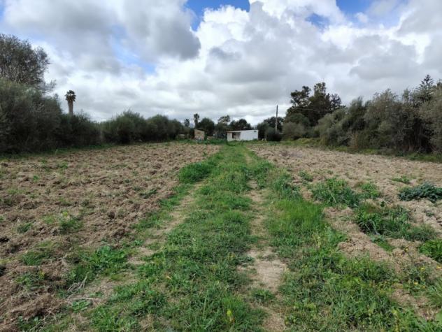 A pochi km da Alghero vendiamo casa in campagna con terreno. - Foto 10