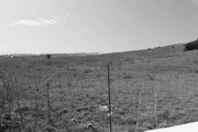 Immobile in asta di 77768 m² in vendita a Collesano - Foto 7