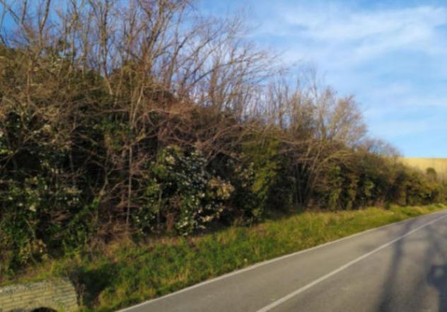 Immobile in asta di 16610 m² in vendita a Fermo - Foto 7