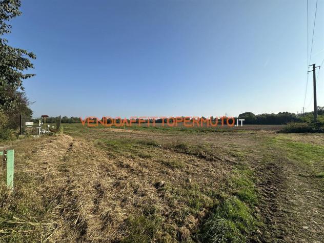 TERRENO AGRICOLO 4.400MQ - Foto 11
