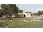 VENDITA TERRENO CON TRULLO C.DA MONTESCOTANO VILLA CASTELLI