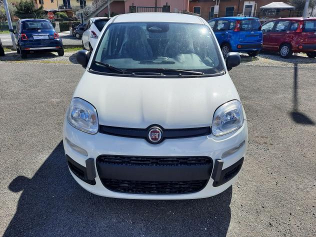 FIAT Pandina PANDA MY26 1.0 65CV HYBRID ICON - Foto 2