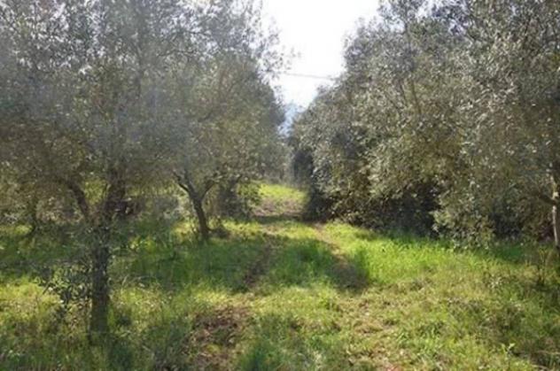 Immobile in asta di 173 m² in vendita a Pietramelara - Foto 5