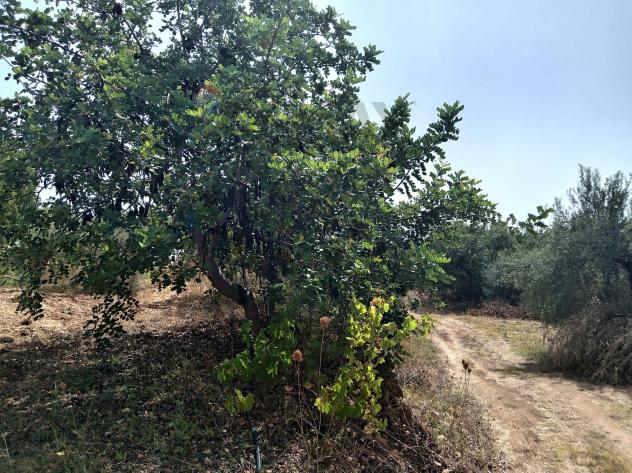 Terreno in vendita a Sortino - Foto 20