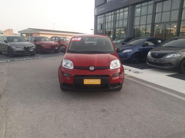 FIAT Panda 1.0 FireFly S&S Hybrid - Foto 5