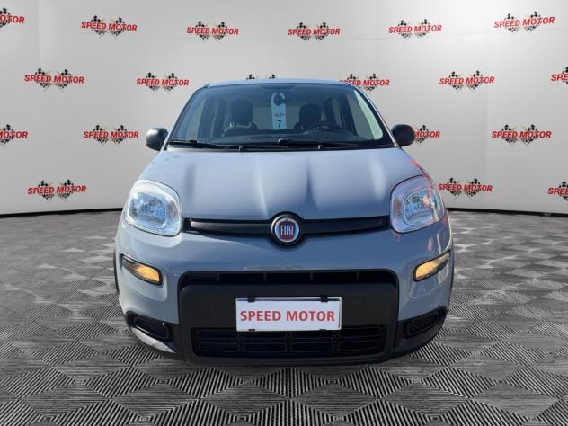 FIAT Panda Panda 1.0 firefly hybrid 70cv, CARPLAY, PRONTA CONSEGNA! - Foto 3