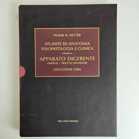 Netter, 7 Volumi - Collezione Ciba Geigy - Frank Netter - 1985 - TRACCIATA! - Foto 5