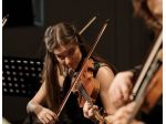 Violinista e organista per musica funerale Bergamo