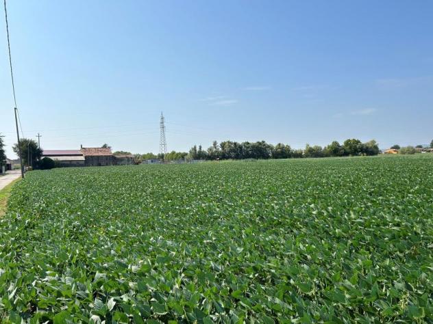 Seminativo in vendita a Castegnero - Foto 8