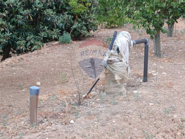 Terreno in vendita a Chiaramonte Gulfi - Foto 9