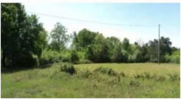 Immobile in asta di 36620 m² in vendita a Fucecchio - Foto 15