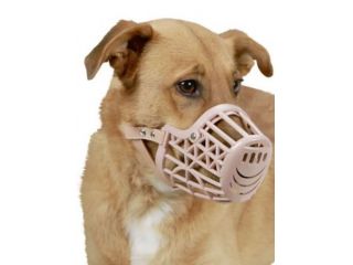 Accessori Animali