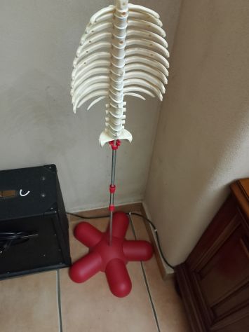 il corpo umano INTERA RACCOLTA 86 NUMERI RBA BUSTE ANCORA CHIUSE incl supporto