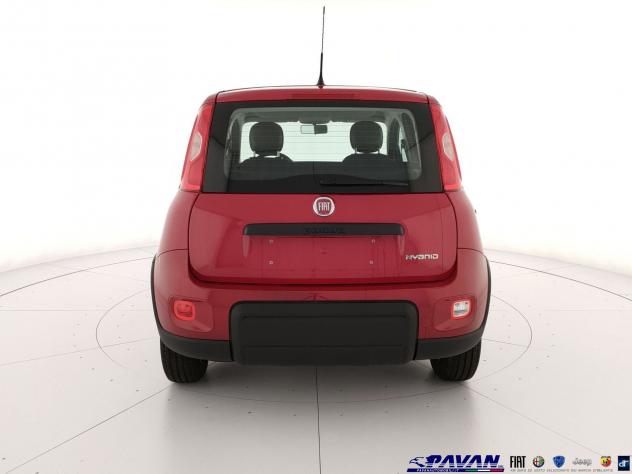 FIAT Pandina Panda 1.0 FireFly 65 CV Hybrid Icon - Foto 4