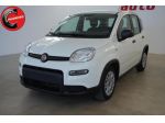 FIAT Panda 1.0 FireFly S&S Hybrid rif. 23765607