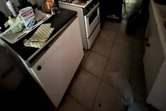 Immobile in asta di 114 m² con più di 5 locali in vendita a Civitella di Romagna - Foto 17