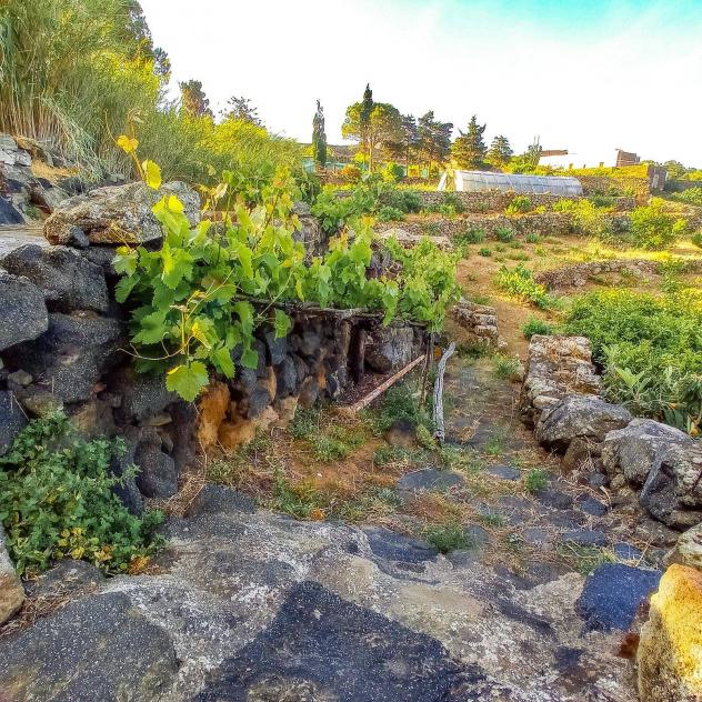 Altro in vendita a Pantelleria - Foto 12