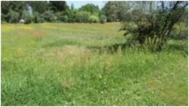 Immobile in asta di 36620 m² in vendita a Fucecchio - Foto 17