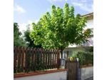 Bed And Breakfast Il Girasole