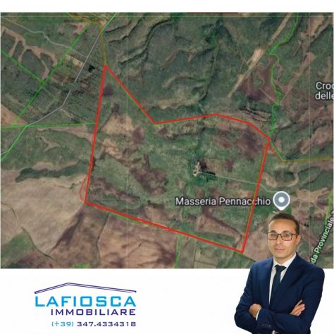 Terreni agricoli di ettari 200