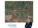 Terreni agricoli di ettari 200