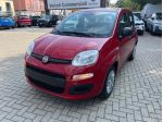 FIAT Pandina Pandina 1.0 firefly hybrid Icon s&s 65cv