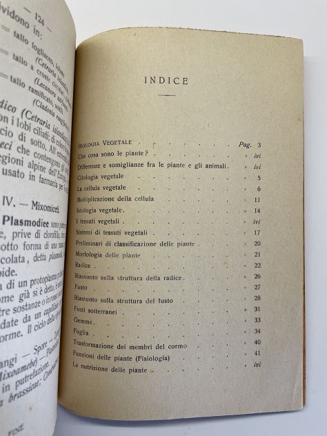Nozioni di biologia vegetale per le scuole medie - Foto 7