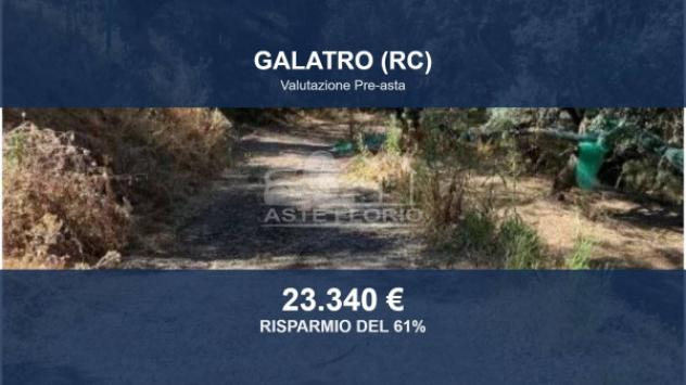 Immobile in asta di 62700 m² in vendita a Galatro