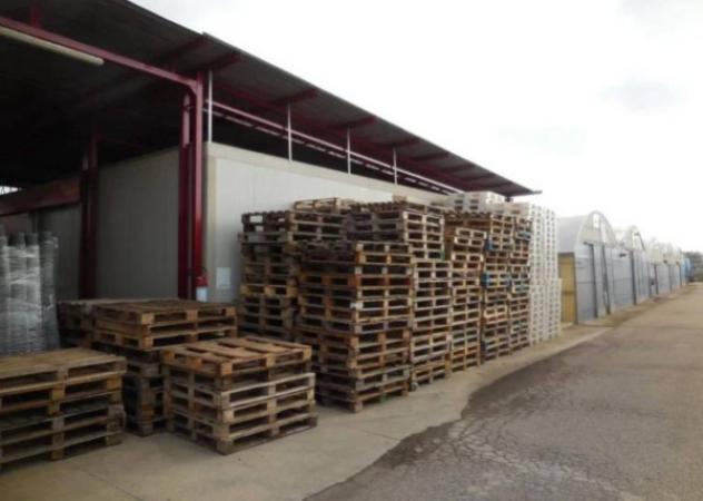 Immobile in asta di 1568 m² in vendita a Monopoli - Foto 2
