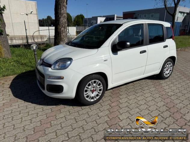 FIAT Panda 1.0 FireFly S&S Hybrid Apple CarPlay rif. 23995288