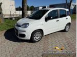 FIAT Panda 1.0 FireFly S&S Hybrid Apple CarPlay rif. 23995288