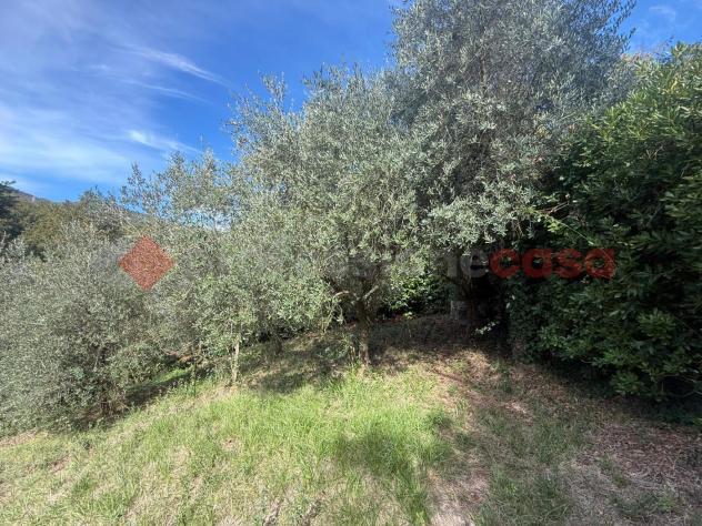 Terreno Residenziale - San Polo dei Cavalieri . Rif.: Cod. rif 3266647VRG - Foto 7