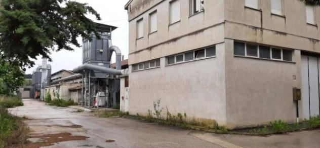 Immobile in asta di 7629 m² in vendita a Loreto - Foto 4