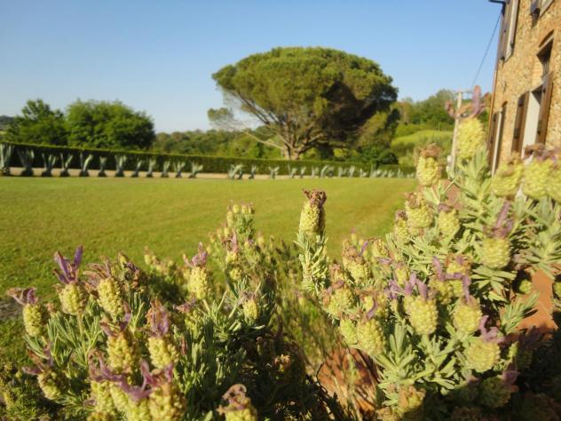 Colonica in vendita a Peccioli 230 mq Rif: 835265 - Foto 5