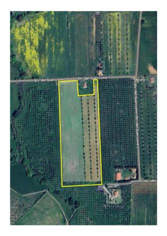 TERRENO AGRICOLO di 37360 mq (GROSSETO - Istia d'Ombrone) rif. TE.17 - Foto 3
