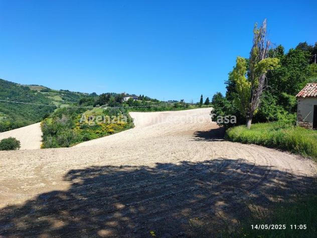 Terreno agricolo, bosco e capanno - Foto 9