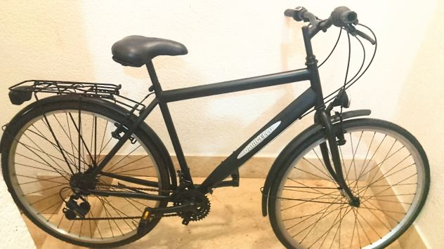 Bici da passeggio daricello 28