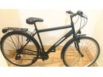 Bici da passeggio daricello 28