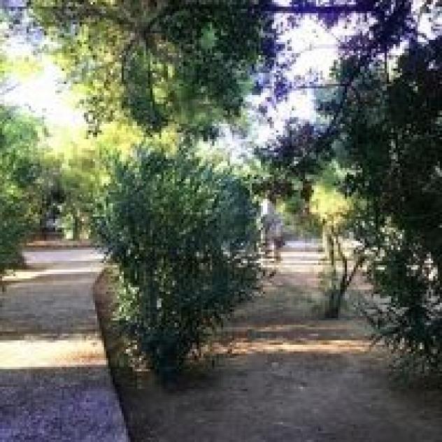 Residence Sabbia D'Oro di Troiano Domenica - Foto 3