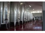 Azienda Agricola in vendita a Ripatransone