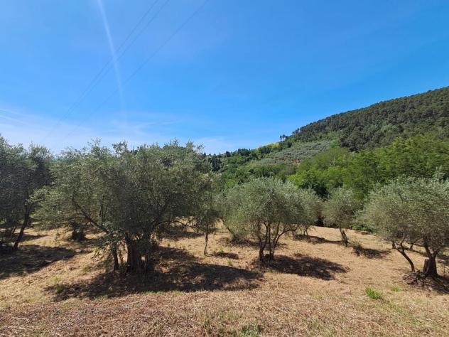 Rustico in vendita a Buti 202 mq Rif: 1419377 - Foto 9