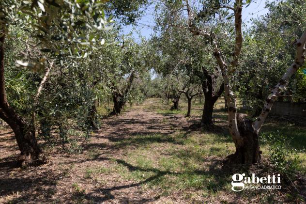 Terratetto - San Giovanni in Marignano . Rif.: MV017VRG - Foto 9