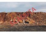 Immobile in asta di 45 m² in vendita a Apricena